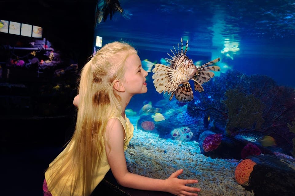 SEA LIFE Manchester Entry Ticket - Image 4