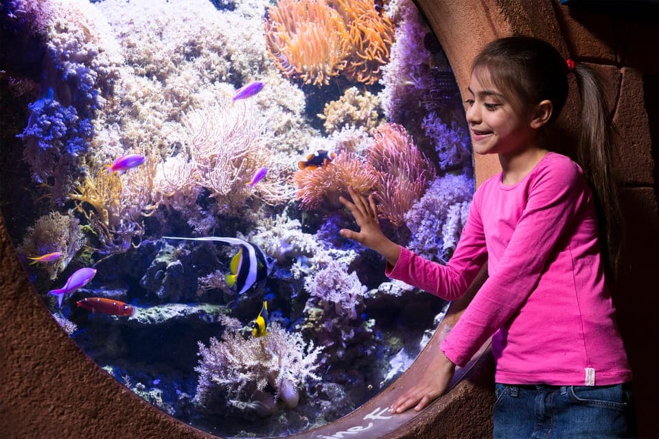 SEA LIFE Manchester Entry Ticket - Image 5