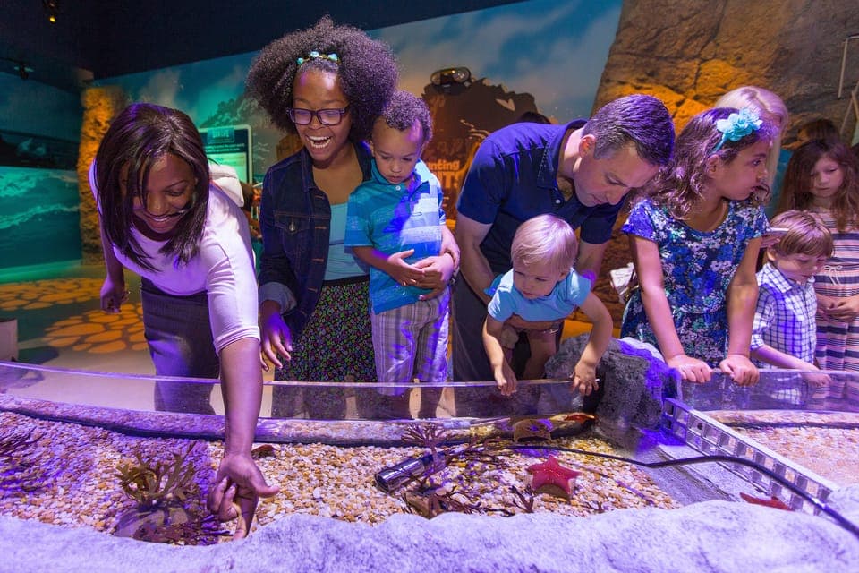 SEA LIFE Manchester Entry Ticket - Image 6