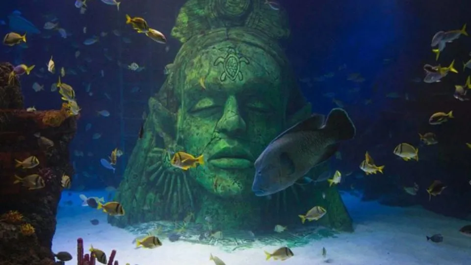 SEA LIFE Manchester Entry Ticket - Image 1